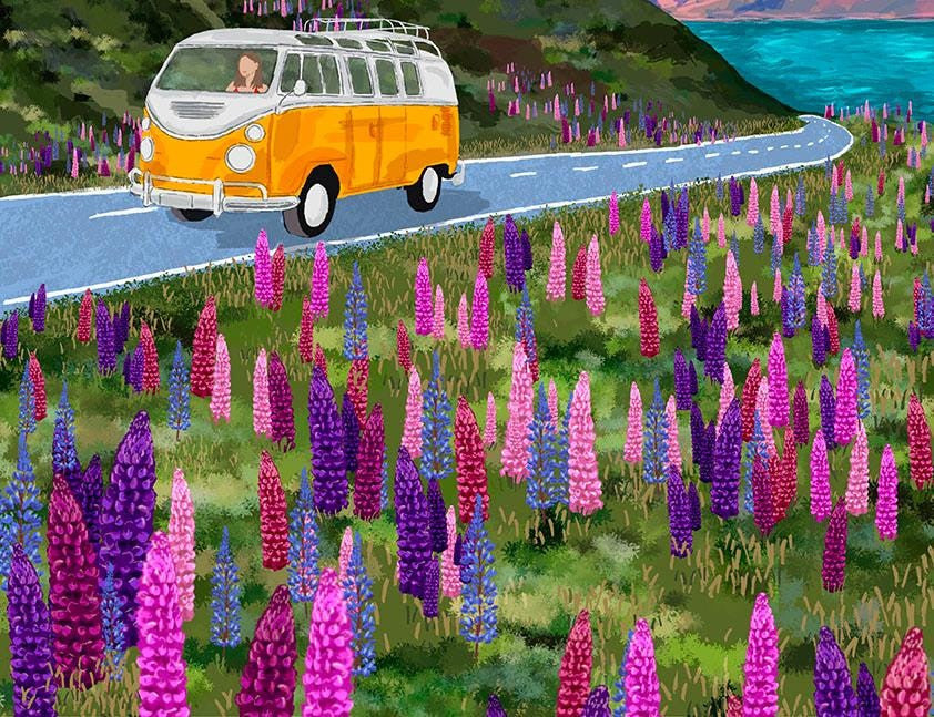 New Zealand - Mount Cook & Lake Pukaki Print close up detail | Mauds Studio